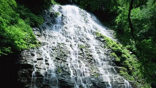 数字化数字化高端